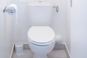 renovation WC