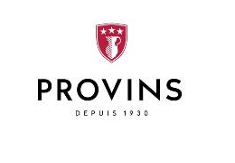 logo ville de provins