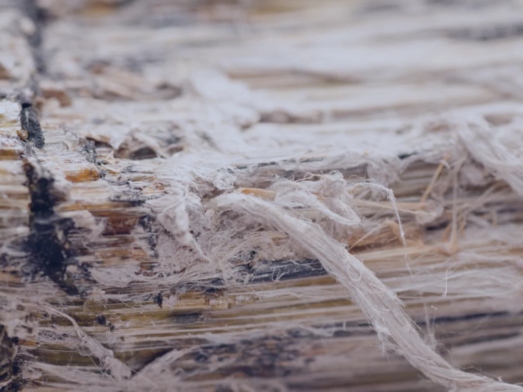 Comprendre le danger de l’amiante et agir efficacement | Acorus